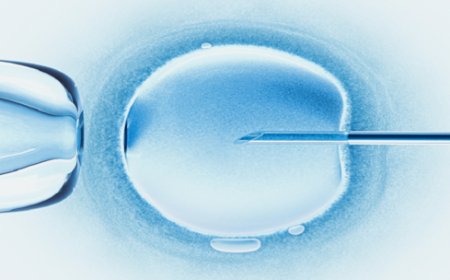 "اكتشاف مفاجئ"..  يعالج مشاكل الخصوبة