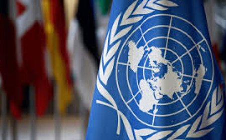 قرارات الأمم المتحدة بين الالتزام وازدواج المعايير «دراسة»