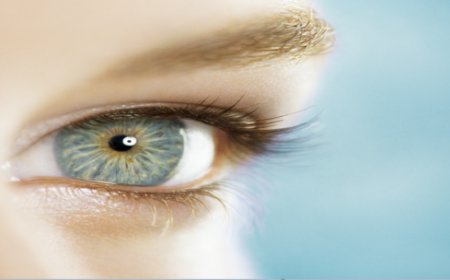 كيف يتعرف الدماغ على ما تراه العين بشكل دقيق؟