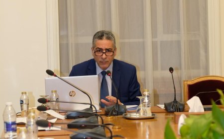 التميمي: جامعة الدول العربية أول منظمة في تاريخ العرب الحديث والمعاصر