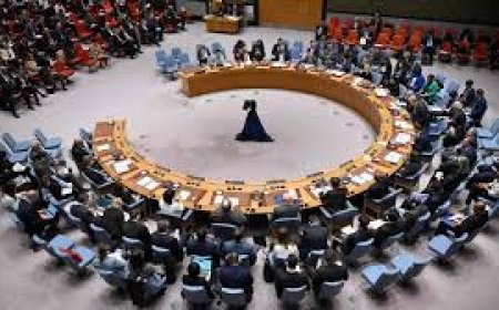 أستاذ قانون دولي: مجلس الأمن مطالب بالتحرك العاجل تحت الفصل السابع لحماية المدنيين في غزة