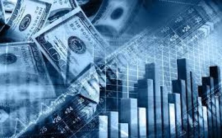 تعرف على .. أبرز الاستشارات الاقتصادية