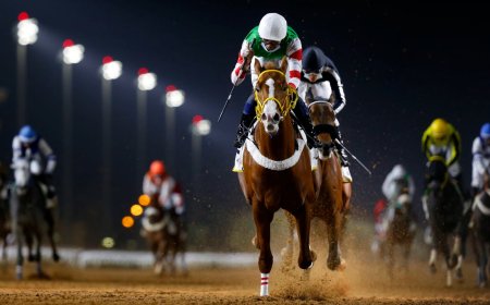 حكم عمل مسابقات للخيل والإبل.. الإفتاء تجيب