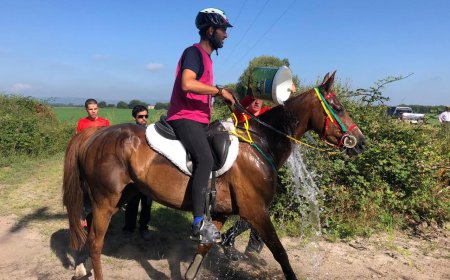 محمد عبد المنعم: أسعى لإعادة الفروسية المصرية إلى منصات التتويج الدولية