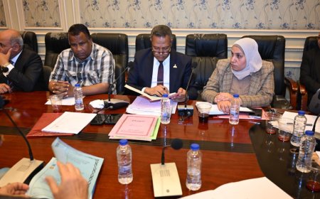 النائب محمد حمزة أمام تشريعية الشيوخ: حان وقت إنهاء أزمة أراضي أبيس والنهضة بعد عقود من المعاناة