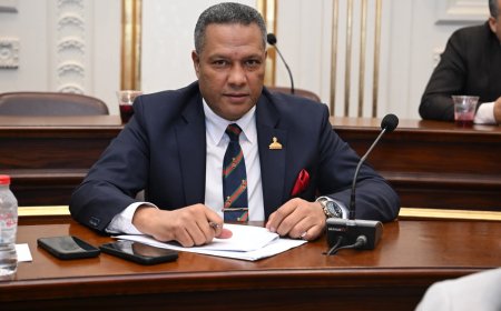 النائب محمد حمزه: «الدلتا الجديدة» مشروع قومي يعكس إرادة الدولة في تأمين مستقبل المصريين غذائيًا وتنمويًا