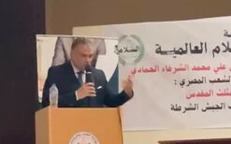 هشام النجار خلال ندوة الوحدة الوطنية صمام الأمان للدولة المصرية:إحباط مخططات التفتيت بين الرؤية القرآنية للشرفاء الحمادي ونضال الكتلة الوطنية الصلبة