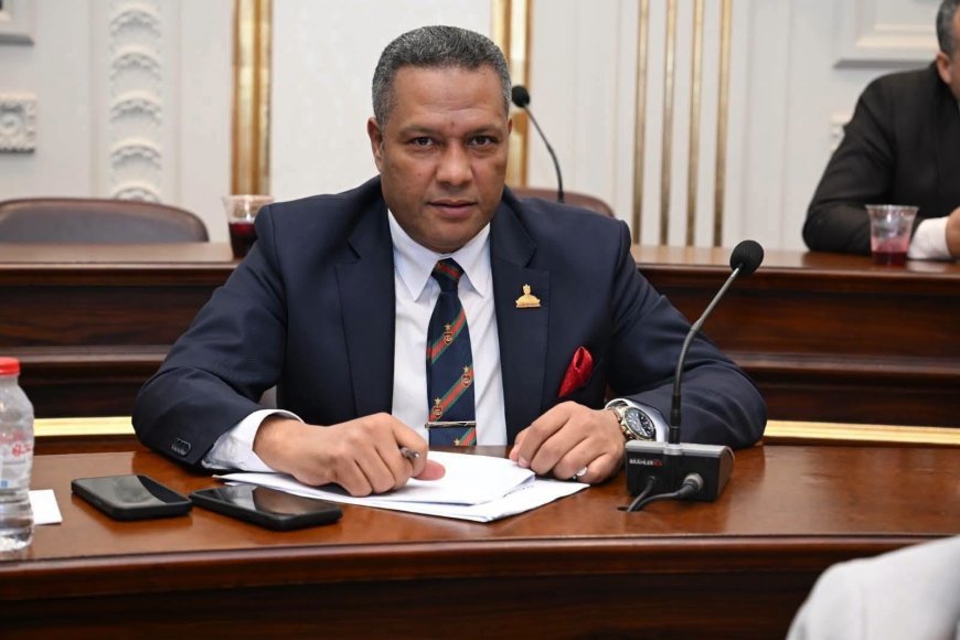 النائب محمد حمزة : كلمة الرئيس في ذكرى ثورة 23 يوليو تؤكد أن الجمهورية الجديدة امتداد لمسيرة الدولة الوطنية