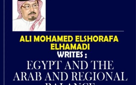 Al-Shorafa Al-Hammadi: Egypt and the Arab and Regional Balance
