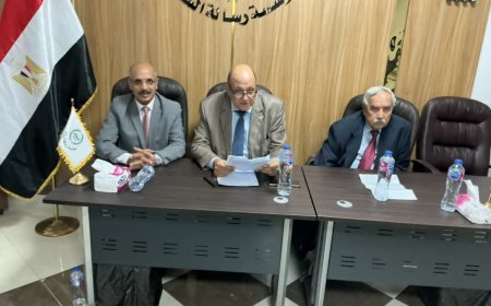 "نصر أكتوبر والعبور إلى الجمهورية الجديدة" .. انطلاق احتفالات "رسالة السلام"