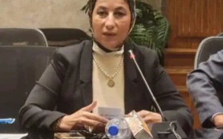 نشوى سلامة تدعو الإعلام لإحياء بطولات أكتوبر وحرب الاستنزاف بأفلام تسجيلية
