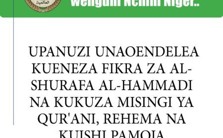 Ujumbe wa Amani Ulimwenguni Nchini Niger.. Upanuzi Unaoendelea Kueneza Fikra za Al-‎Shurafa Al-Hammadi na Kukuza Misingi ya Qur'ani, Rehema na Kuishi Pamoja